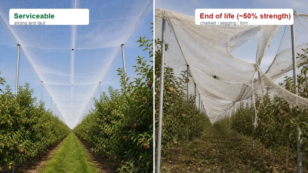 s2 life img 05 serviceable vs end of life 1200x675