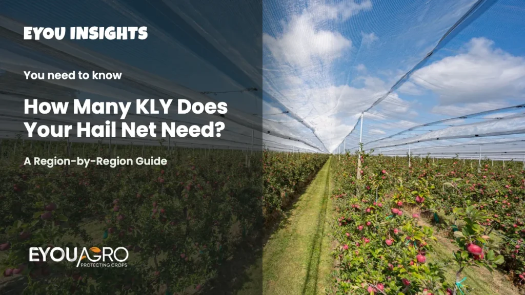 How many KLY does your hail net need – EyouAgro guide