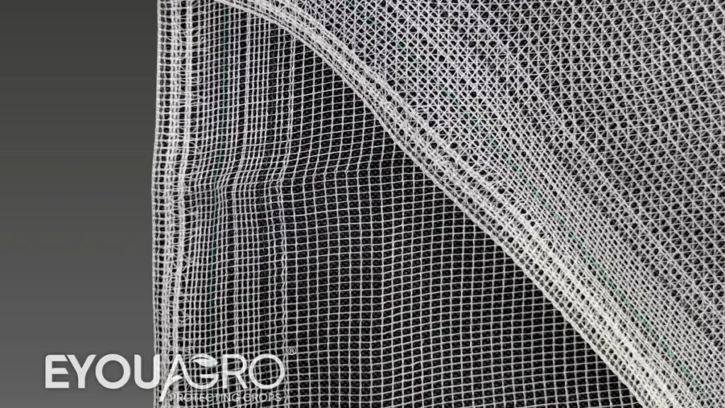 Close-up of clear Leno hail netting with reinforced edge