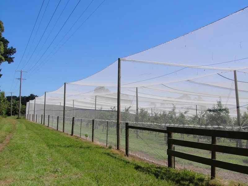 High-Quality Elastic Wire for Efficient Hail Netting - EyouAgro
