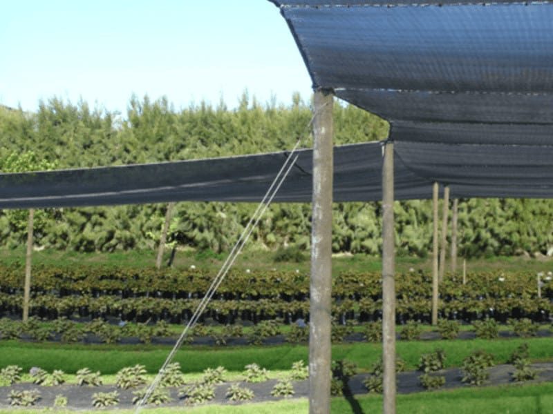 Horticulture Shading for horticulture