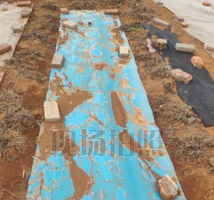 Tarpaulin sample weathering naturally outdoors, coating visibly degrading