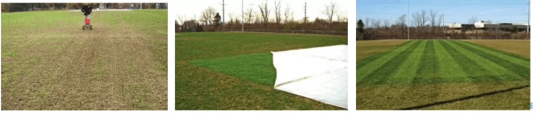 turf cover