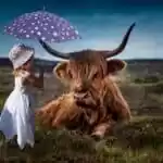 child, cow, umbrella-1429190.jpg