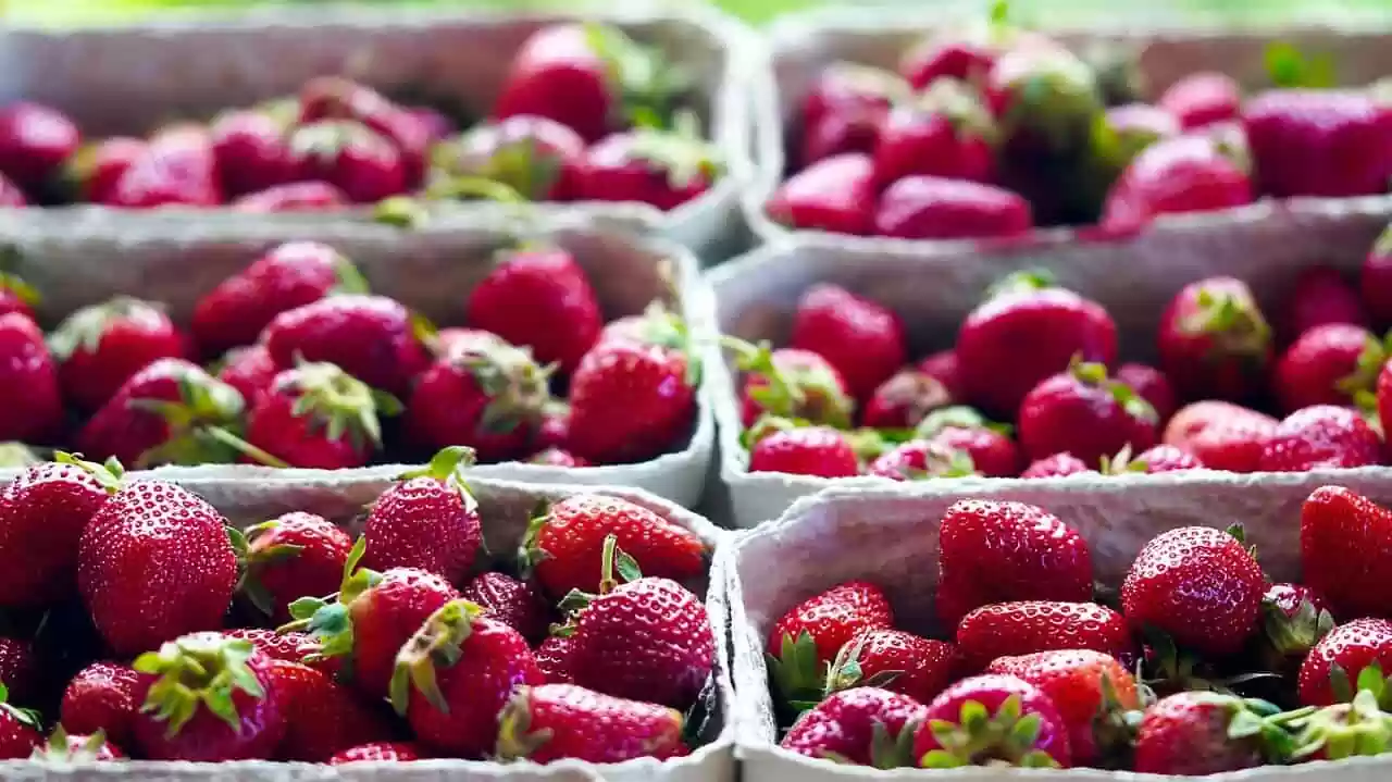 strawberries, fruits, berries-6379817.jpg