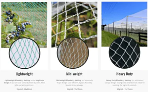 3 type of blueberry netting