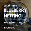 blueberry netting 101